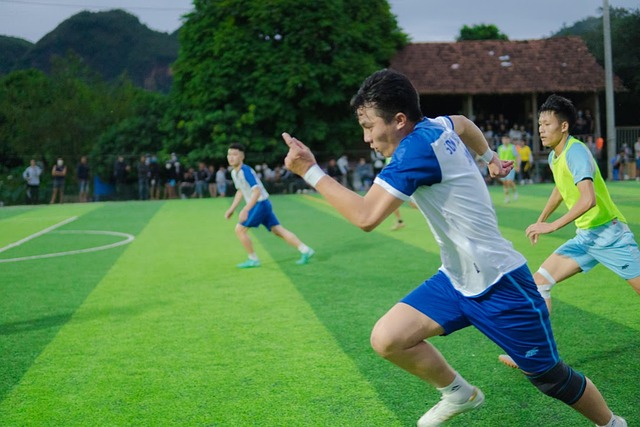 的肋部