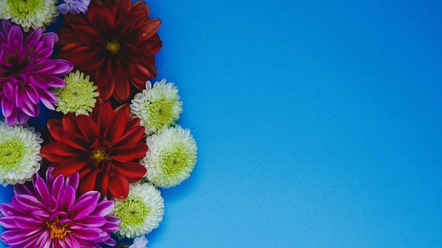 取消的原因 取消的原因