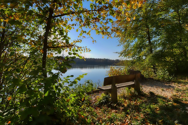 其前阶段区 其前阶段区