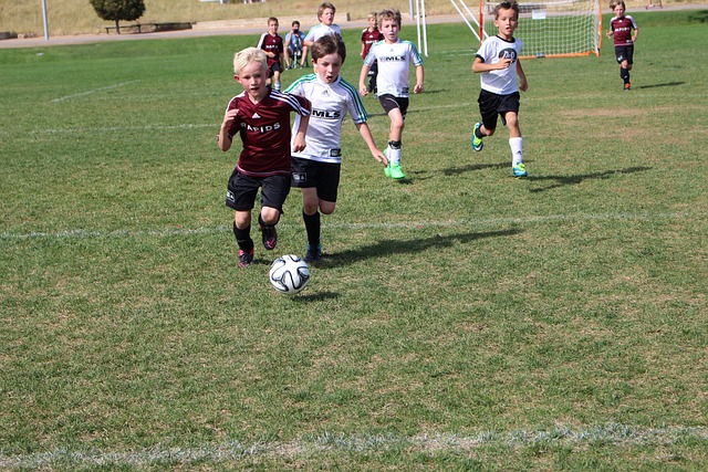 这也意味着 这也意味着