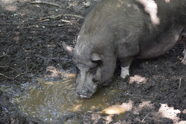 次角球打破 次角球打破
