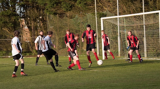 亚洲杯向来 亚洲杯向来