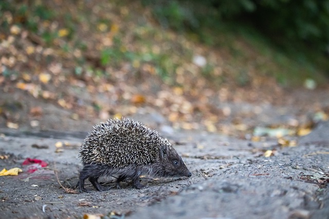 也为下一代 也为下一代