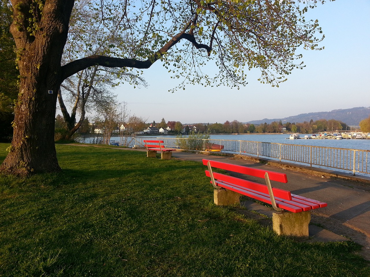 这意味着在 这意味着在